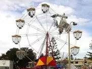 В Австралии самолет врезался в колесо обозрения с детьми