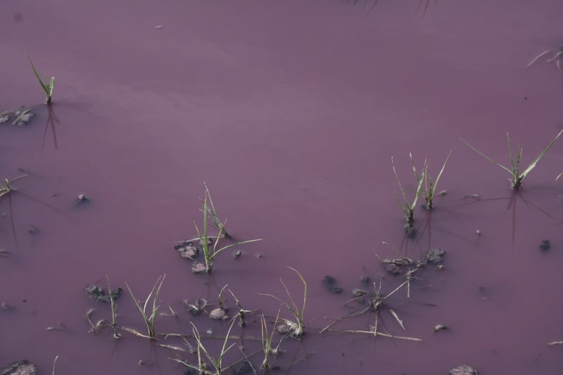 Вода в "красном" озере. Фото Галима Габдуллина