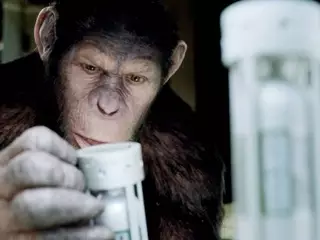 Приматам японского зоопарка показали фильм "Восстание планеты обезьян" 