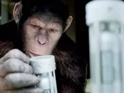 Приматам японского зоопарка показали фильм "Восстание планеты обезьян" 