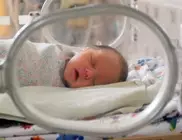 В Испании раскрыли сеть торговцев новорожденными