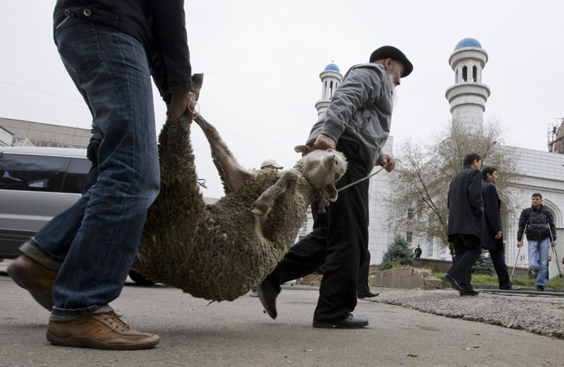 Фото ©REUTERS