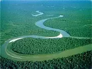 Река Амазонка и водопады Игуасу вошли в число Семи чудес природы