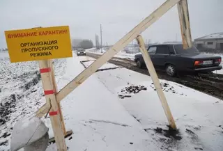 В Алтайском крае ввели карантин по бешенству 