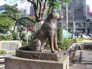 В Якутске нашли своего Хатико