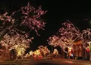 Голый бразилец ограбил 2 дома в рождественскую ночь