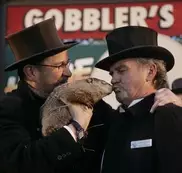 Сурок Фил спрогнозировал долгую зиму в США