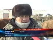 Житель Семея засудил чиновников за потерю овец