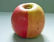 Британка нашла самое редкое яблоко в мире