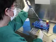 Ученые подобрали ключ к раковым клеткам 