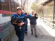 ФОТО: Шымкентский зоопарк показал трех новорожденных медвежат