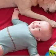 Младенцы смогут "попросить" маму поменять подгузник посредством SMS