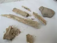 ФОТО: Житель Алматинской области нашел древнее захоронение у себя во дворе