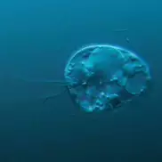 Старейший организм обнаружили в озере в Норвегии