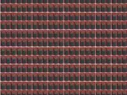 С американского склада украли почти полмиллиона зубочисток