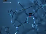 Некоторые казахстанские производители спекулируют термином "нанотехнология"