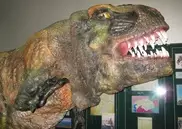 ФОТО: В Петропавловске открылась выставка динозавров