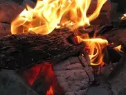 Житель Зыряновска готовил ужин на костре посреди своей квартиры