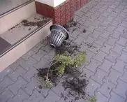 Милиция Кыргызстана вычисляет виновных в погроме у посольства Беларуси