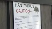 В США около 22 тысяч человек могли заразиться хантавирусом