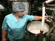 Казахстанские производители выступили против термина "молочный напиток" в проекте техрегламента ТС