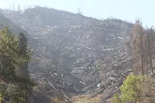 Алматинцы смогут пожертвовать деньги на восстановление горы Мохнатка
