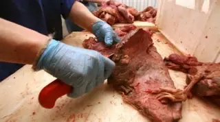 Минздрав Казахстана рекомендует воздержаться от покупки мяса в неустановленных местах