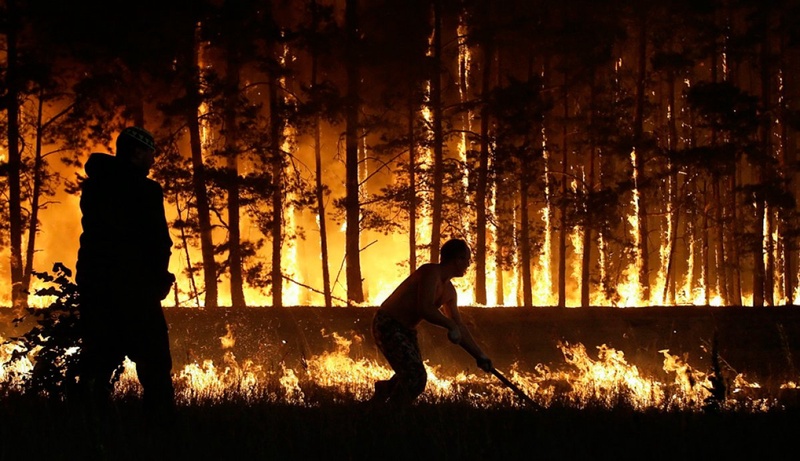 Фото с сайта kp.ru