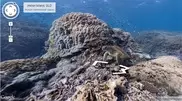 Google Street View снял подводные панорамы