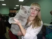 ФОТО: Кота-богатыря выбрали в Семее