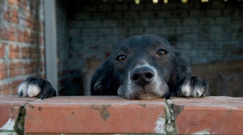 Фото с сайта dailymail.co.uk