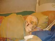 В Швеции женщину обвинили в сексуальной связи со скелетом