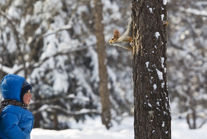 Фото REUTERS/Shamil Zhumatov©