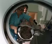 В Дагестане 4 тысячи чиновников застрахуют от слабоумия и энуреза