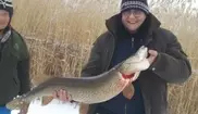 Трое жителей Актобе поймали 22-килограммовую щуку