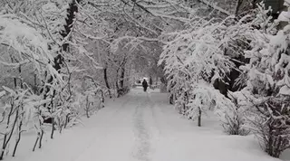 Снег и сильный ветер ожидаются в Казахстане 12 января