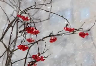 Синоптики обещают снег в Казахстане 16 января