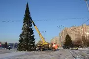 Главную новогоднюю елку Усть-Каменогорска пустят на удобрение