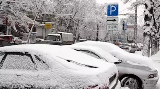 Прокуратура предложила проверить бесхозные авто в Алматы