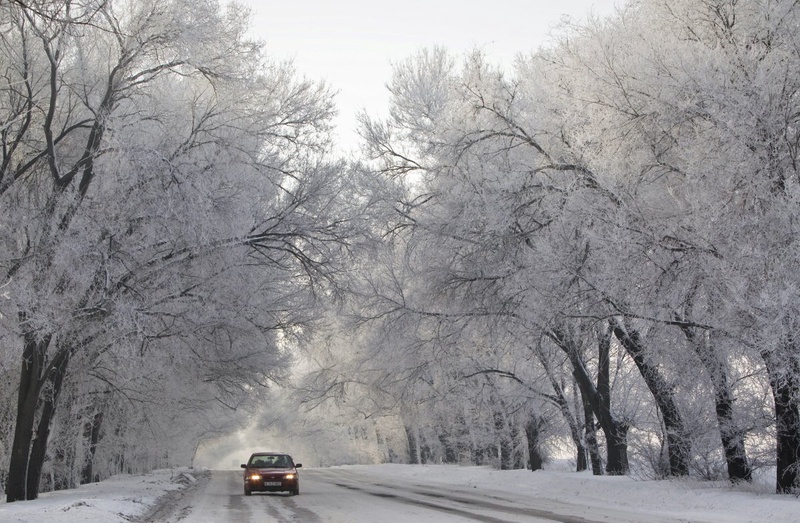 Фото REUTERS/Shamil Zhumatov ©