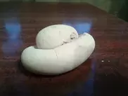 Под Алматы курица снесла яйцо в форме змеи 