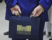 Бизнесмены России готовы финансировать кастрацию педофилов