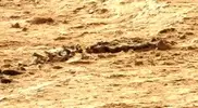 На Марсе разглядели скелет неизвестного животного 