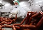 Сосиски с кониной из Европы нашли в России