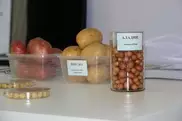 Устойчивый к вирусам картофель клонировали казахстанские ученые