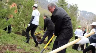 Есимов помог в высадке сосен и елей в урочище Медеу