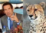 Гепард разодрал лицо президенту Ботсваны