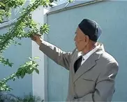 Житель Шымкента тратит свою пенсию на посадку деревьев