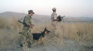 Суд приостановил деятельность погранзаставы в Южном Казахстане