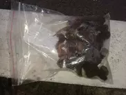 Алматинцы жалуются на свободную продажу ядовитых растений